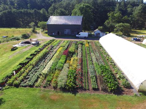 Neversink farm - Find out more at http://www.neversinkfarm.com Sign up for my newsletter at https://bit.ly/2GRYHNTConor Crickmore is a well known educator in small scale mark...